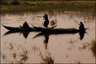 The Marsh Arabs