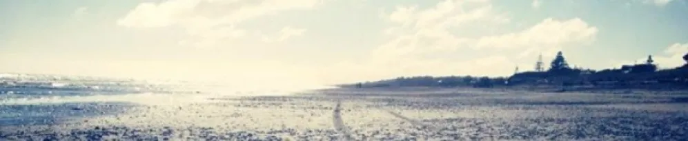 Two People Walked Two People Walked