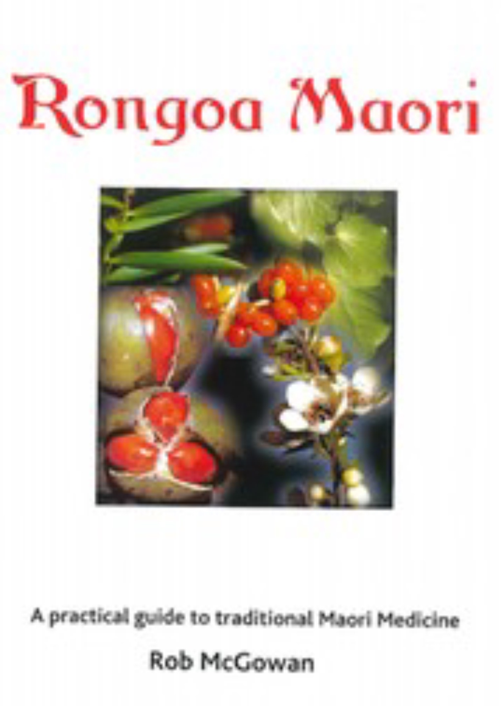 Rongoā Māori