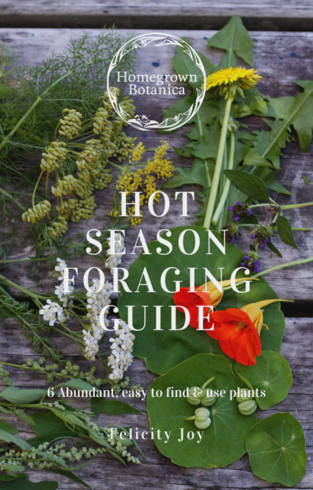 Hot Season Foraging Guide