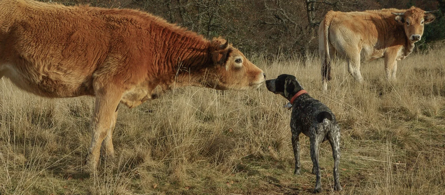 The Kindness of Strangers