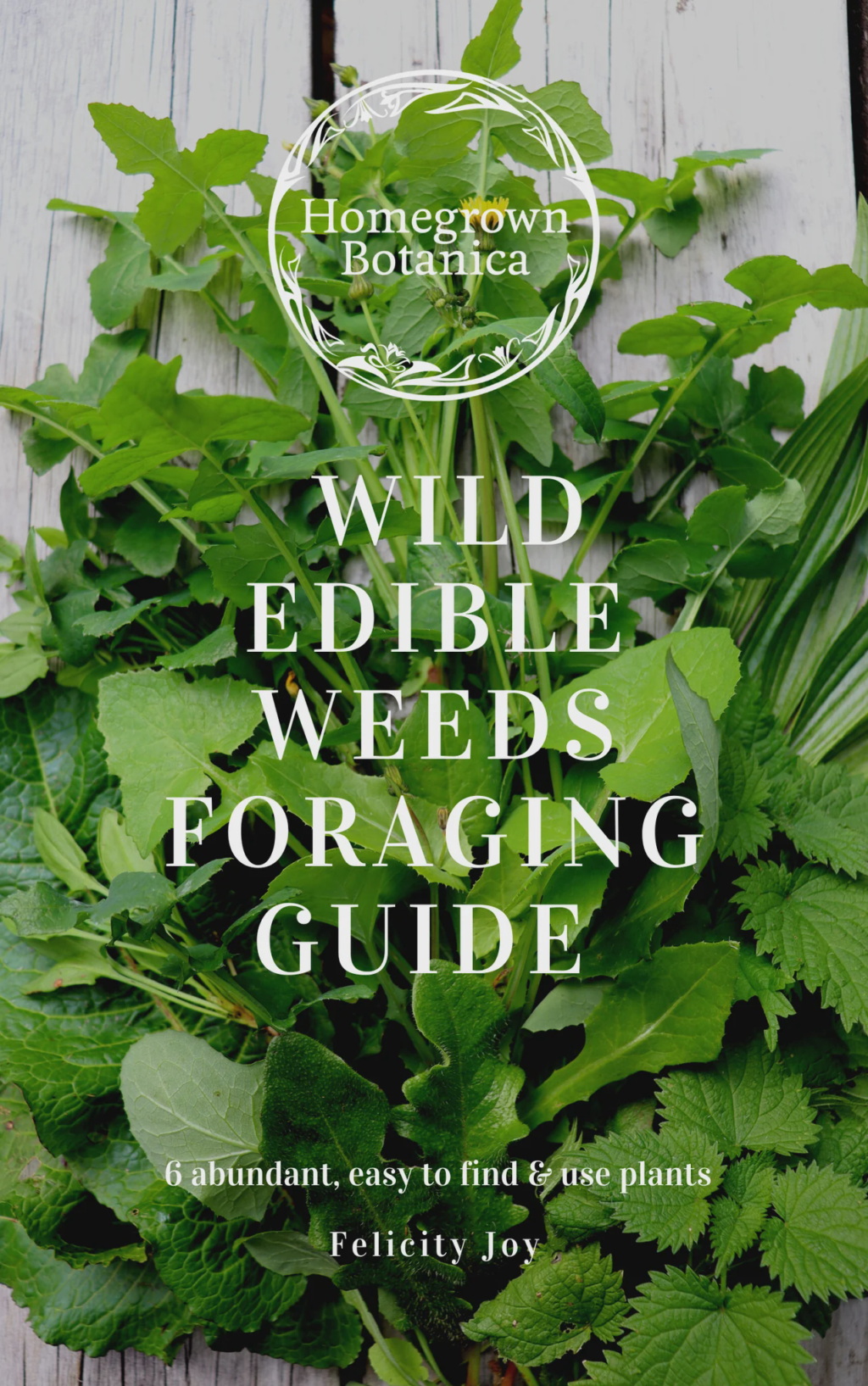 Wild Edible Weeds Foraging Guide