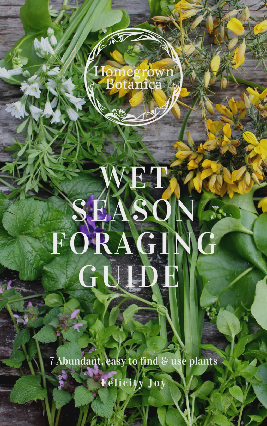 Wet Season Foraging Guide
