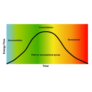 Syntropic Agroforestry Resources (in English)