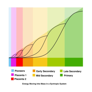 Syntropic Agroforestry Resources (in English)