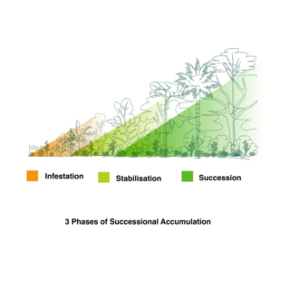 Syntropic Agroforestry Resources (in English)