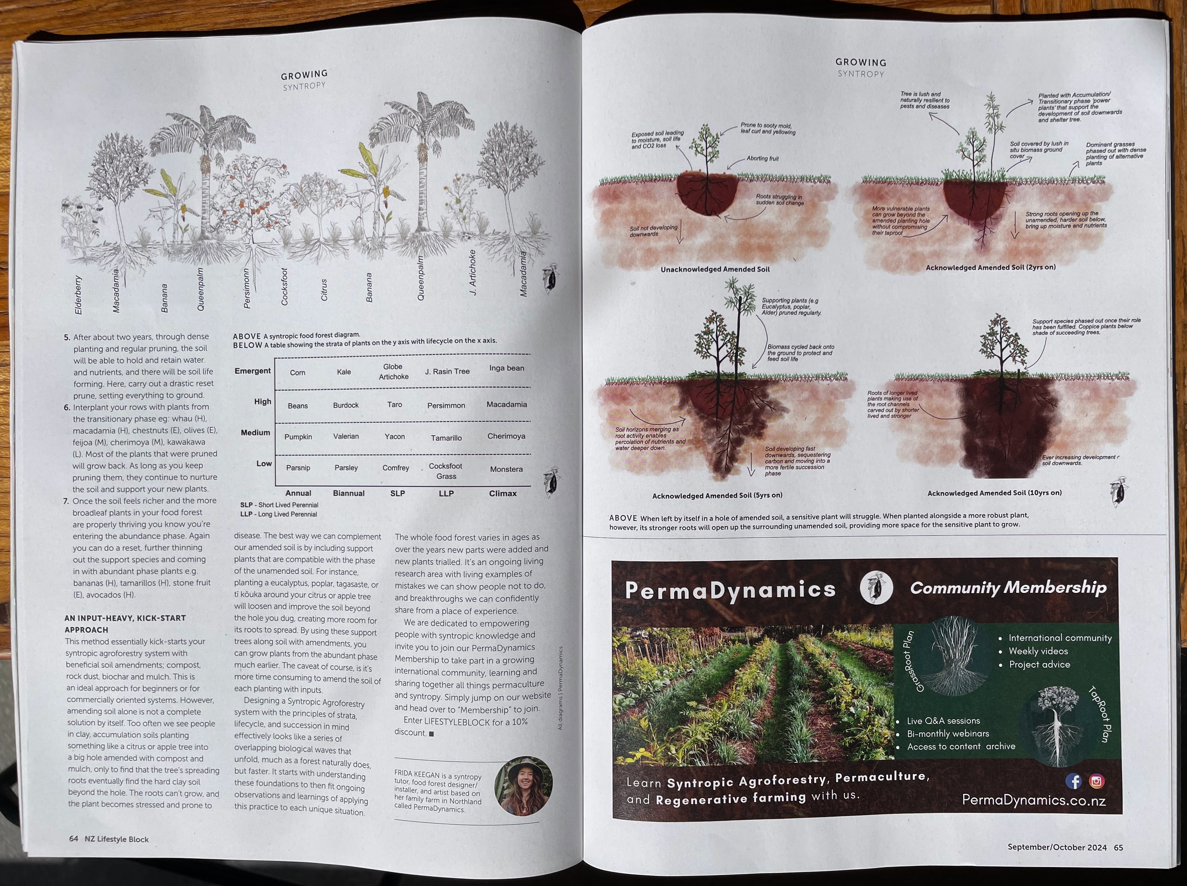 Syntropic Agroforestry Resources (in English)