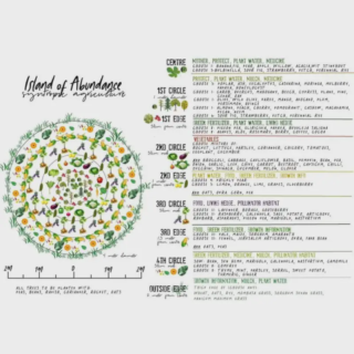 Syntropic Agroforestry Resources (in English)