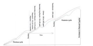 Syntropic Agroforestry Resources (in English)