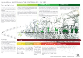 Syntropic Agroforestry Resources (in English)
