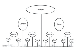 Syntropic Agroforestry Resources (in English)