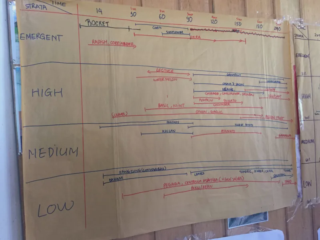 Syntropic Agroforestry Resources (in English)