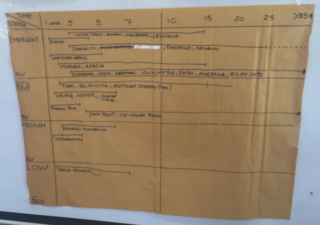 Syntropic Agroforestry Resources (in English)