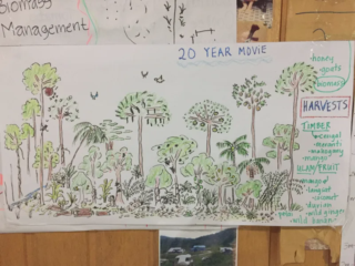 Syntropic Agroforestry Resources (in English)