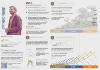Syntropic Agroforestry Resources (in English)