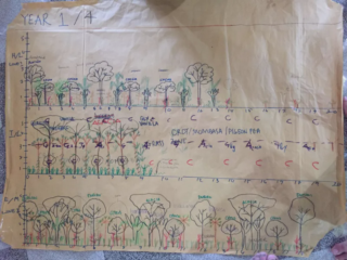 Syntropic Agroforestry Resources (in English)