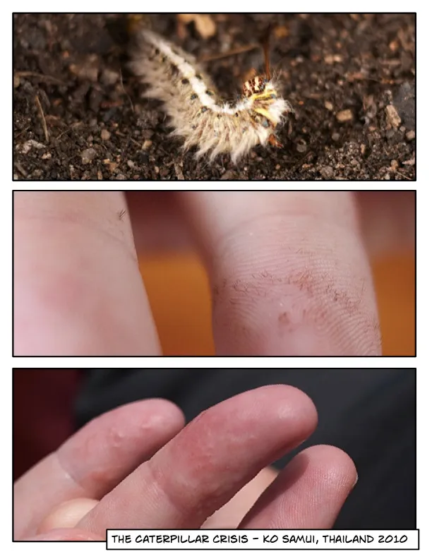 A Caterpillar Crisis A Caterpillar Crisis
