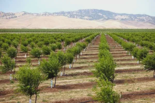 What You Eat Matters