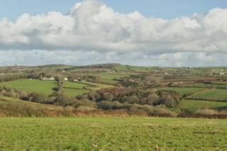 What You Eat Matters