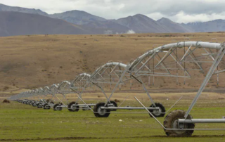 What You Eat Matters