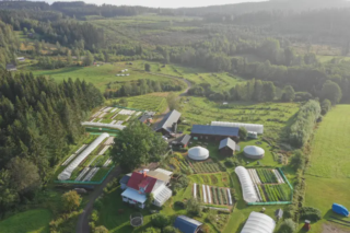 What You Eat Matters